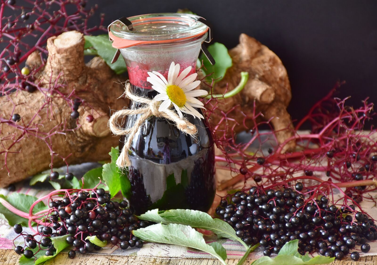 Nikon D7200 sample photo. Elder, elderberries, berries photography
