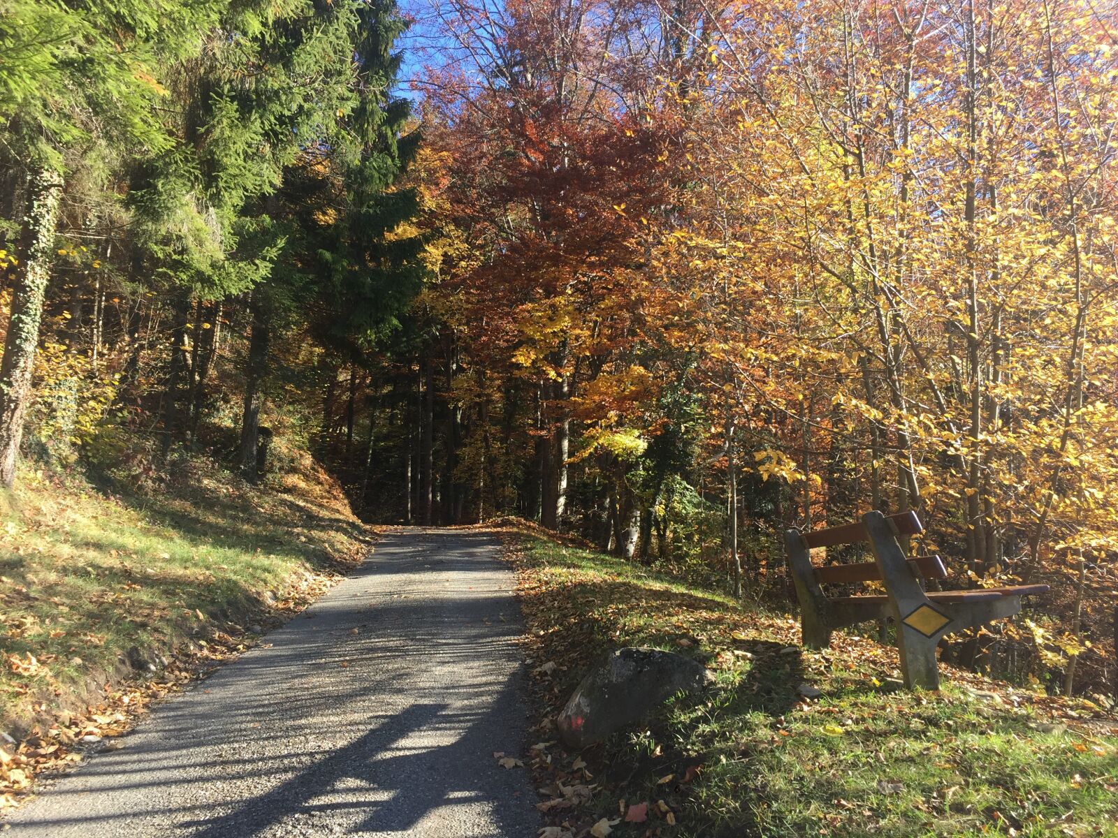 iPhone 6 back camera 4.15mm f/2.2 sample photo. Switzerland, landscapes, path photography