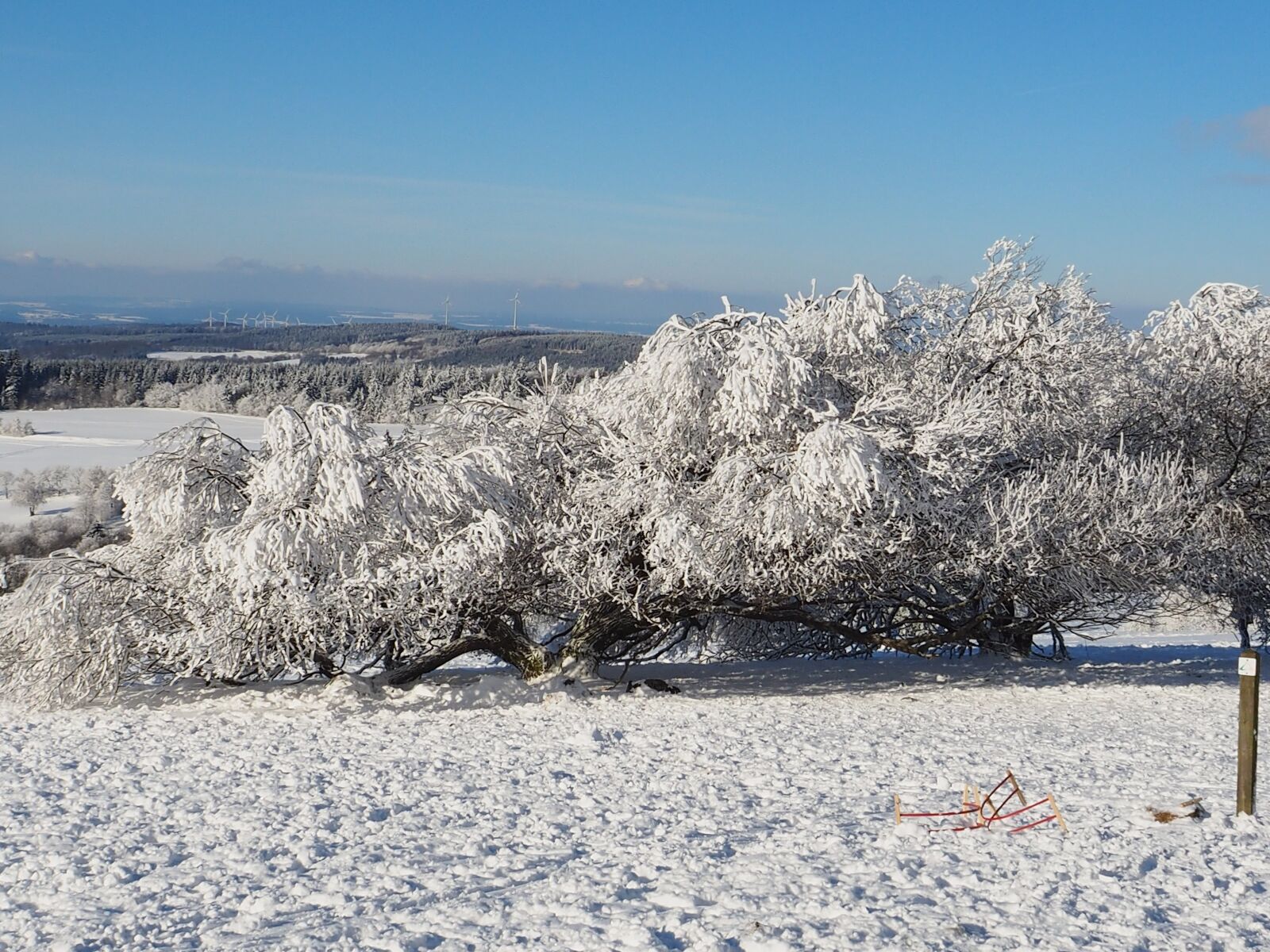 Olympus OM-D E-M10 sample photo. Wintry, snow, winter photography