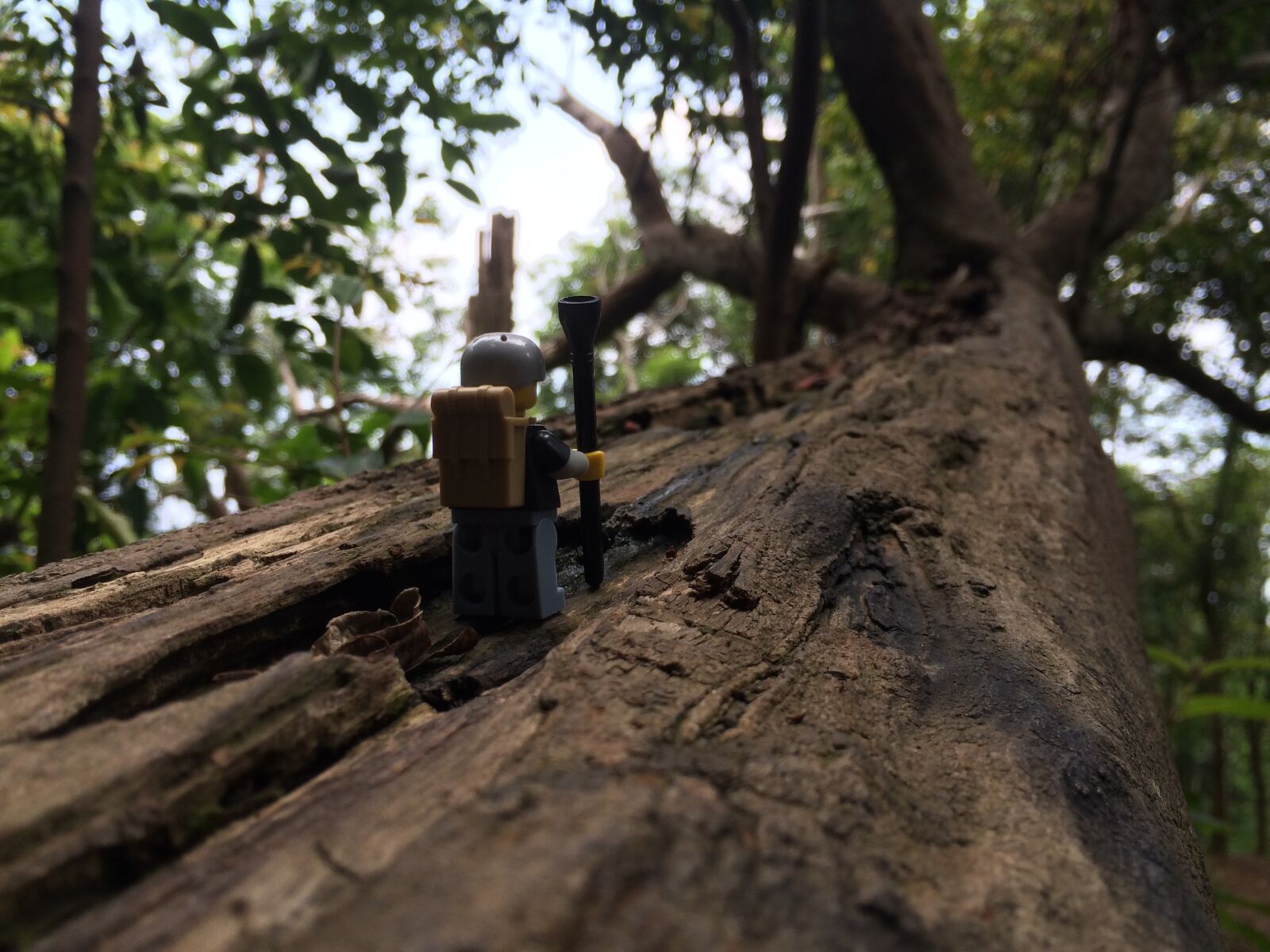 Apple iPhone 5s sample photo. Tree, lego, forest photography