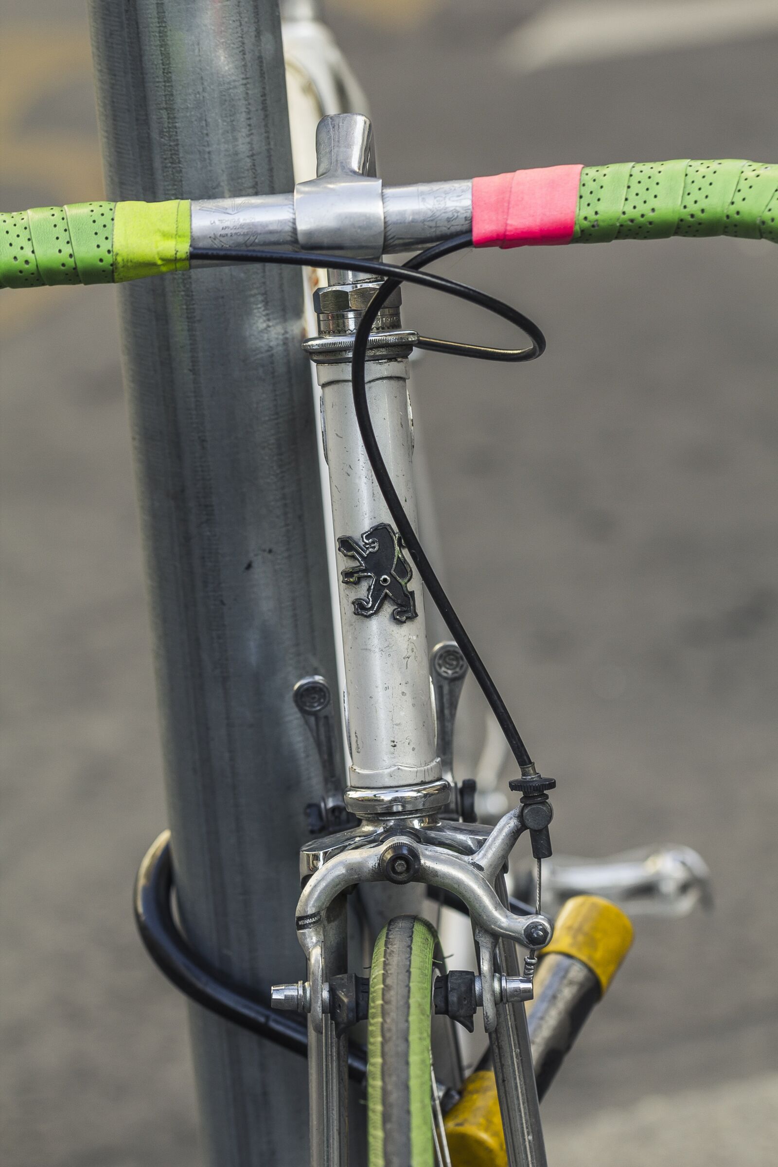 Canon EF 100mm F2.8L Macro IS USM sample photo. Bicycle, peugeot, green photography