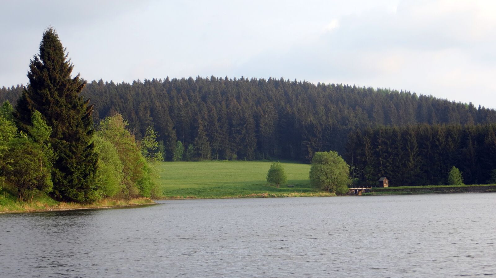 Canon PowerShot SX240 HS sample photo. Idyll, forest, conifers photography