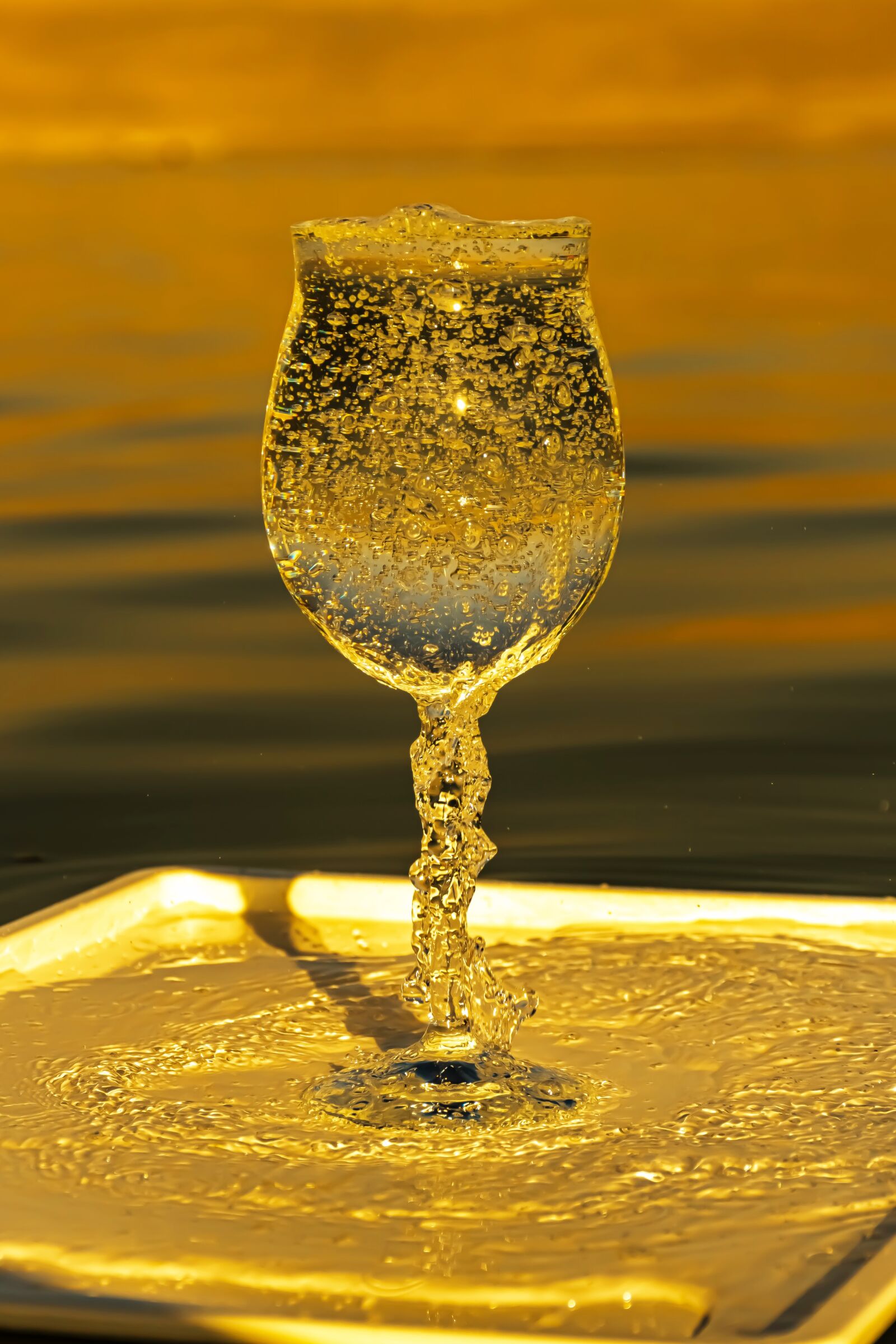 Nikon D5600 sample photo. Wineglass, bubbles, tray photography