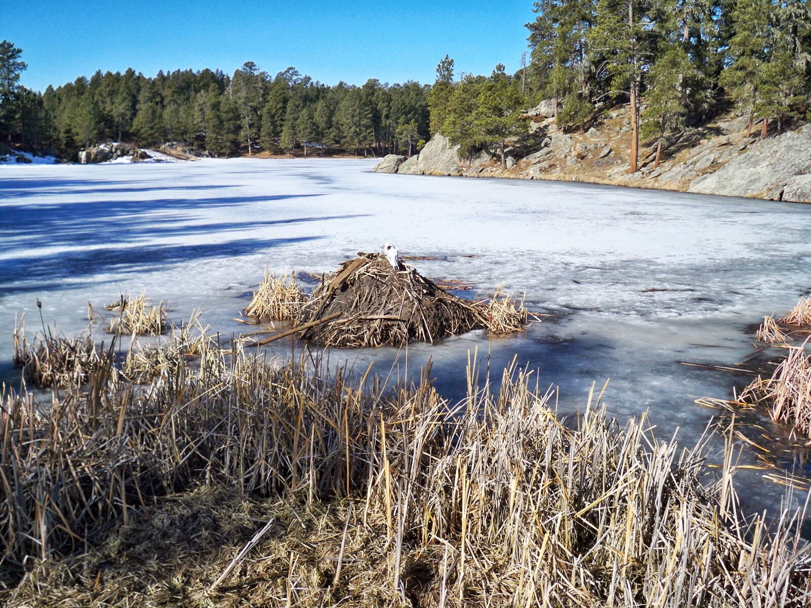 Kodak EASYSHARE M1093 IS DIGITAL CAMERA sample photo. Frozen, frozen, lake, frozen photography