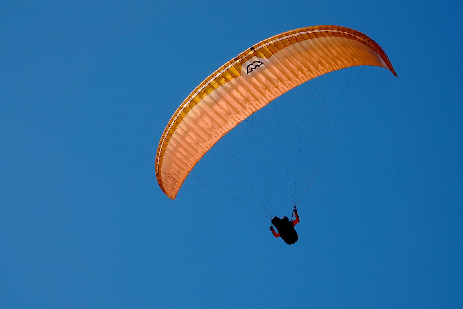 Sony Cyber-shot DSC-RX10 III sample photo. Sky, flight, parachute photography