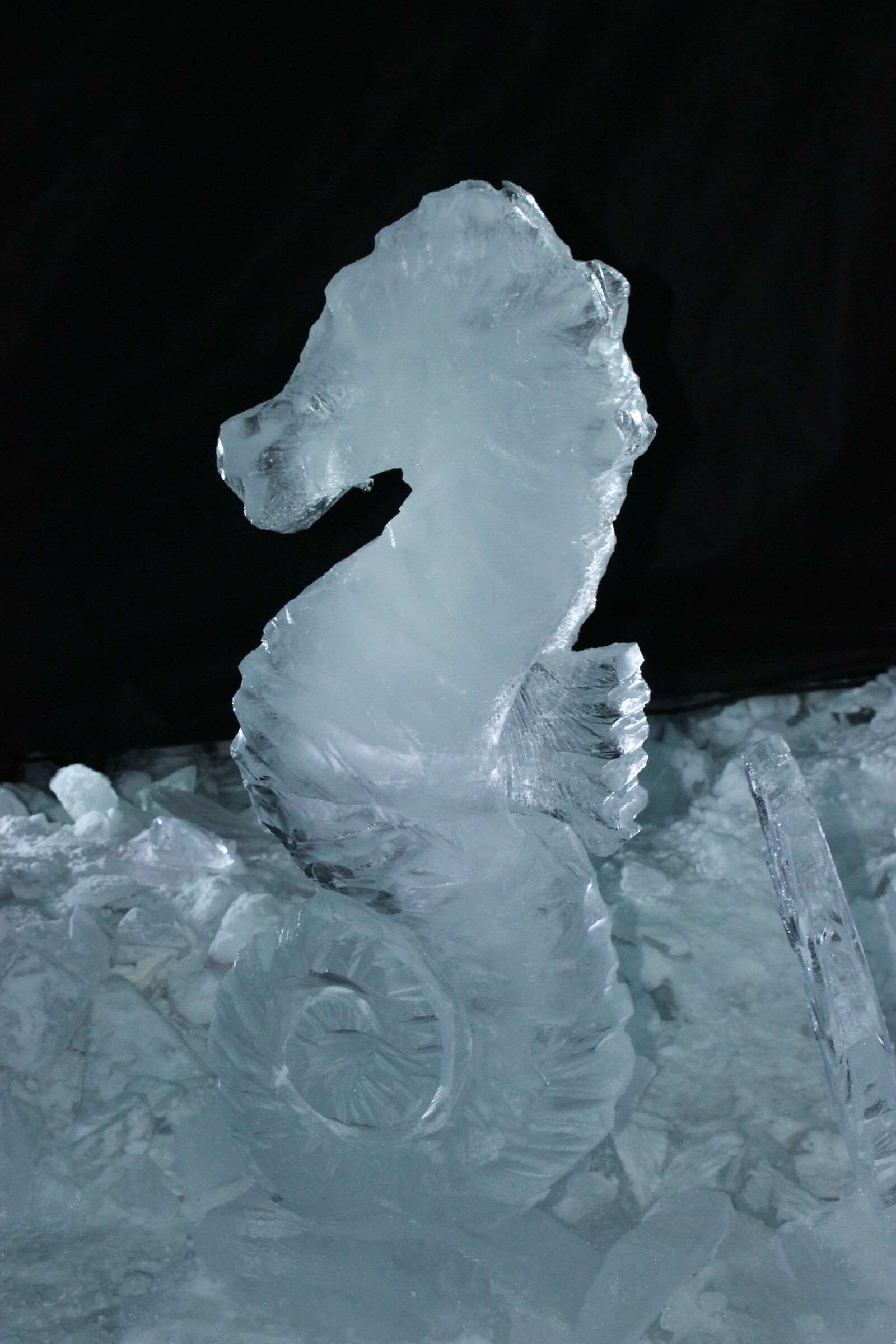 Canon EOS 600D (Rebel EOS T3i / EOS Kiss X5) sample photo. Ice, grasshopper, statue photography