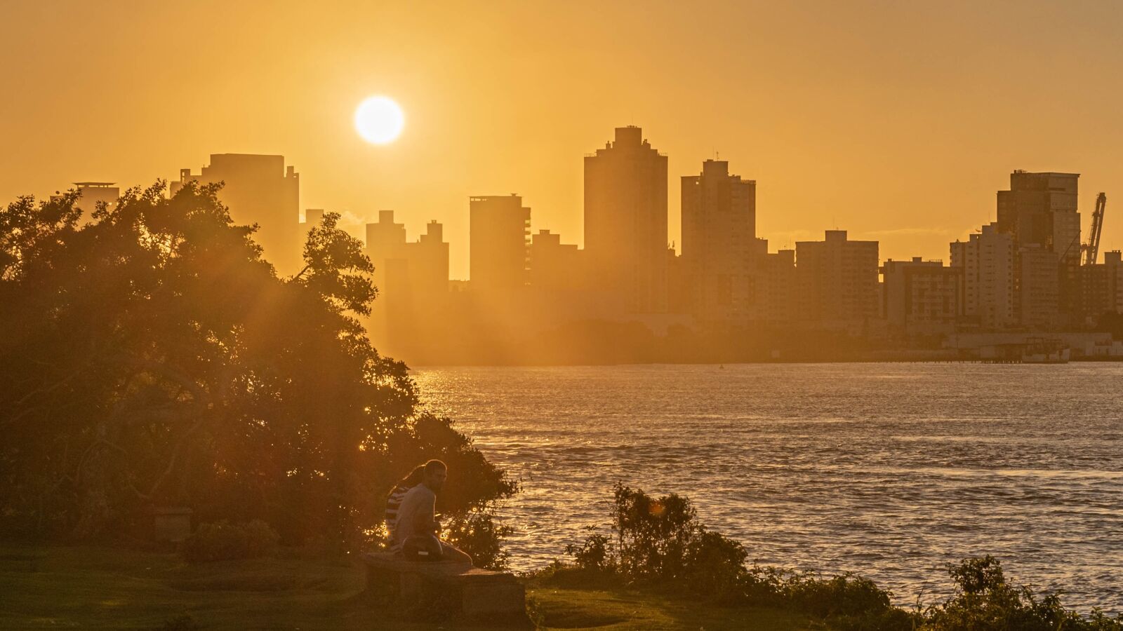 Nikon D610 sample photo. Sun, golden hour, nature photography