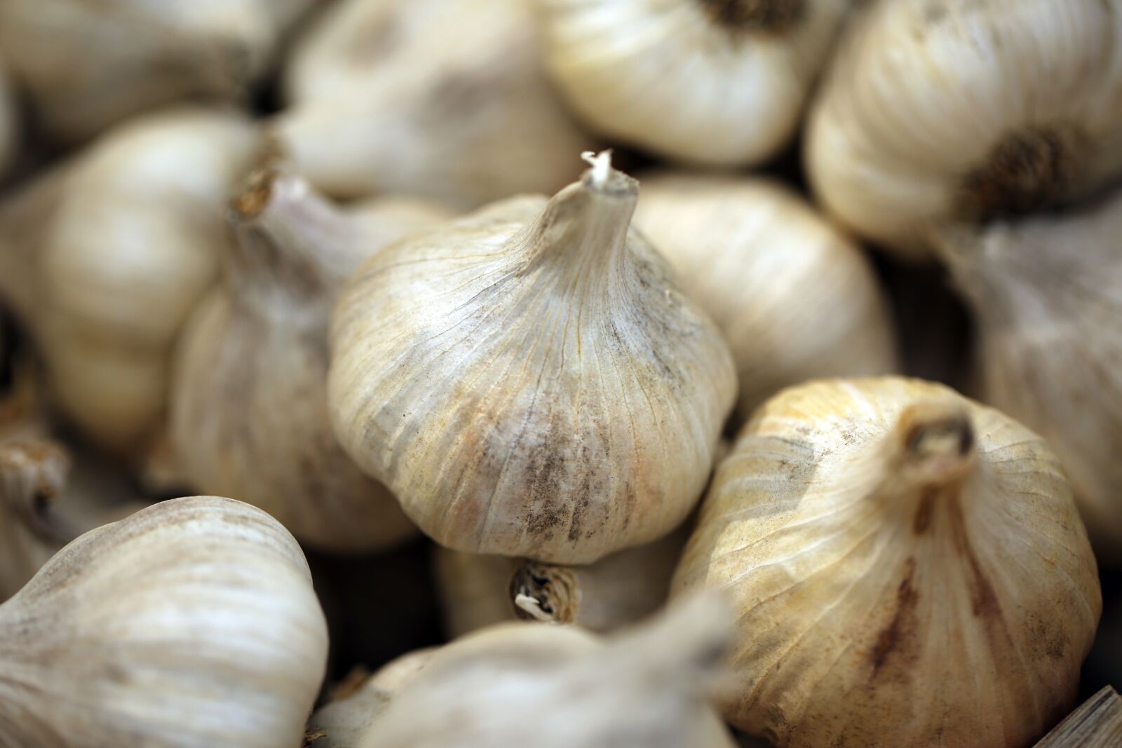 Canon EF 100mm F2.8L Macro IS USM sample photo. Garlic, nature, white photography