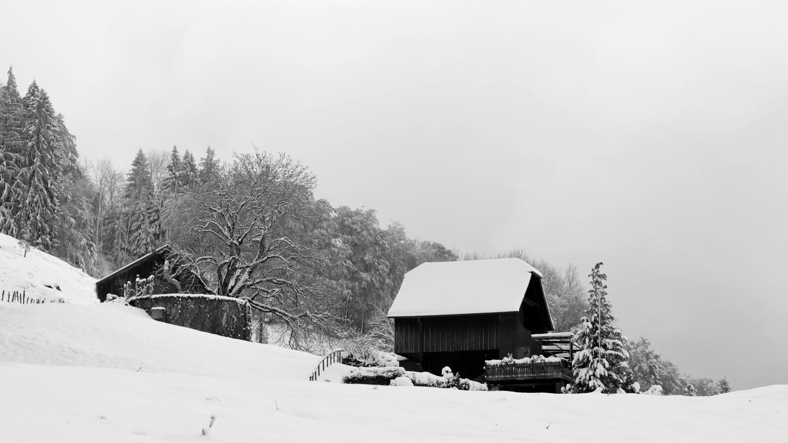 Canon EOS M50 (EOS Kiss M) sample photo. Winter, landscape, snow photography