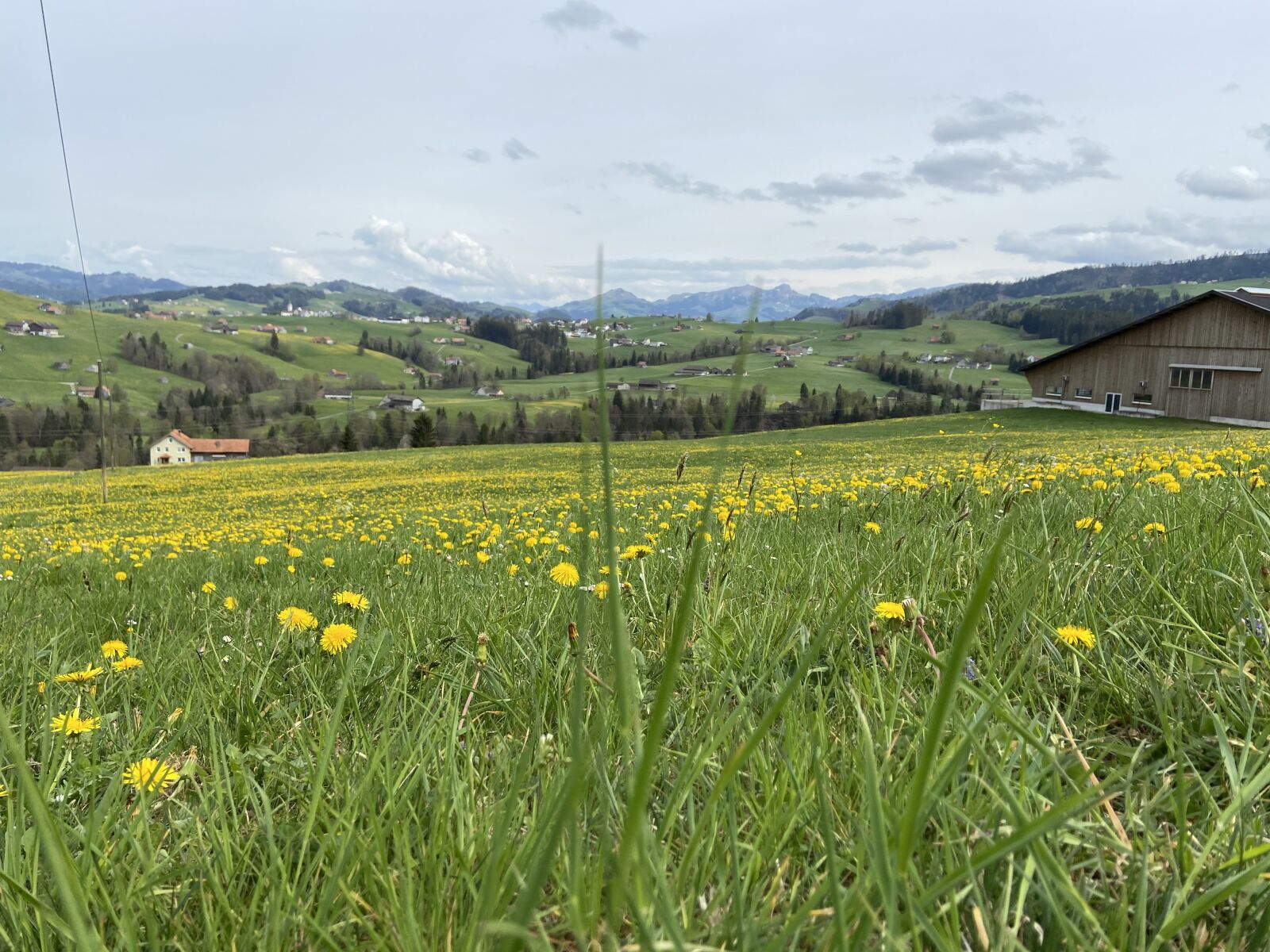 Apple iPhone 11 sample photo. Meadow, mountains, landscape photography