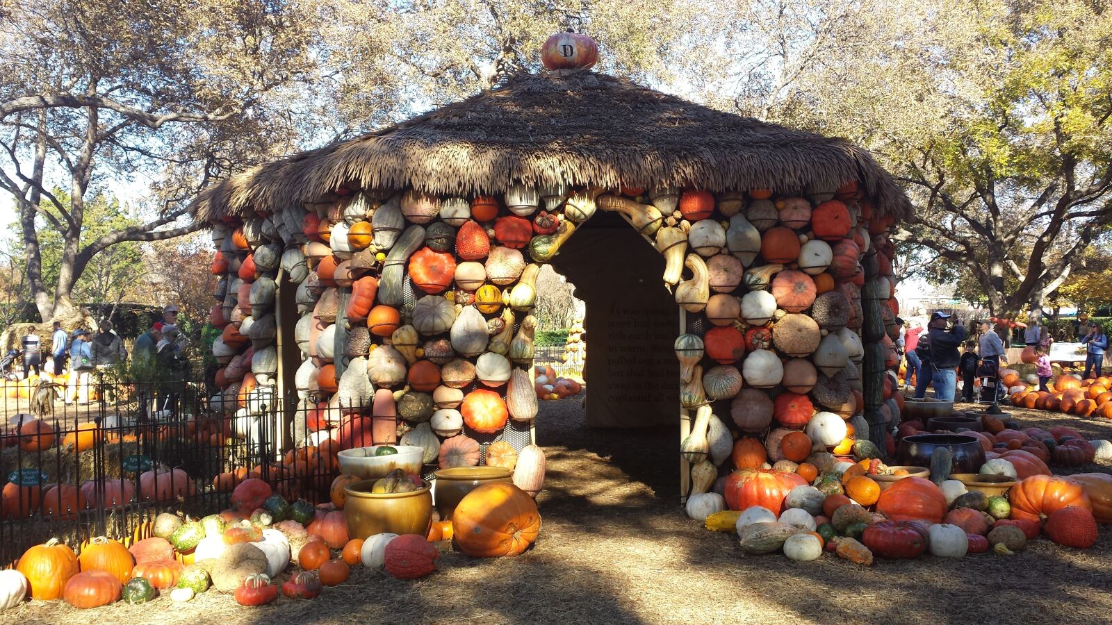 Samsung Galaxy S4 sample photo. Fall, pumpkin house, pumpkins photography