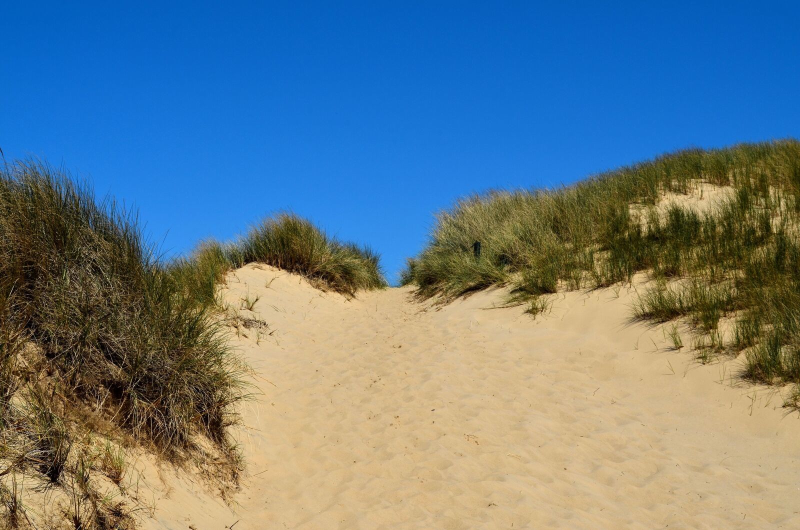 Nikon D5100 sample photo. Sylt, wenningstedt, kampen photography