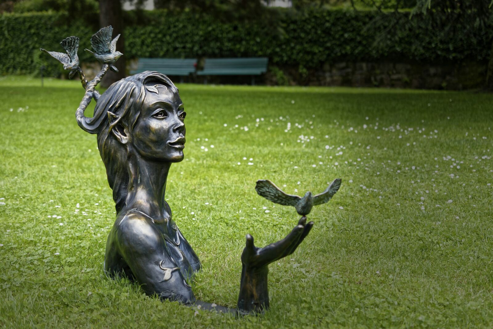 Nikon D5500 sample photo. Statue, woman, garden photography