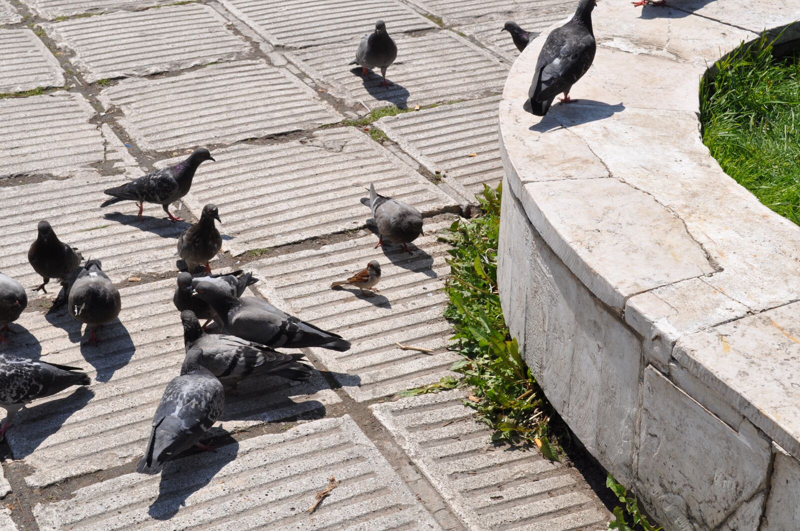 Nikon D90 sample photo. Sarajevo, map, monument photography