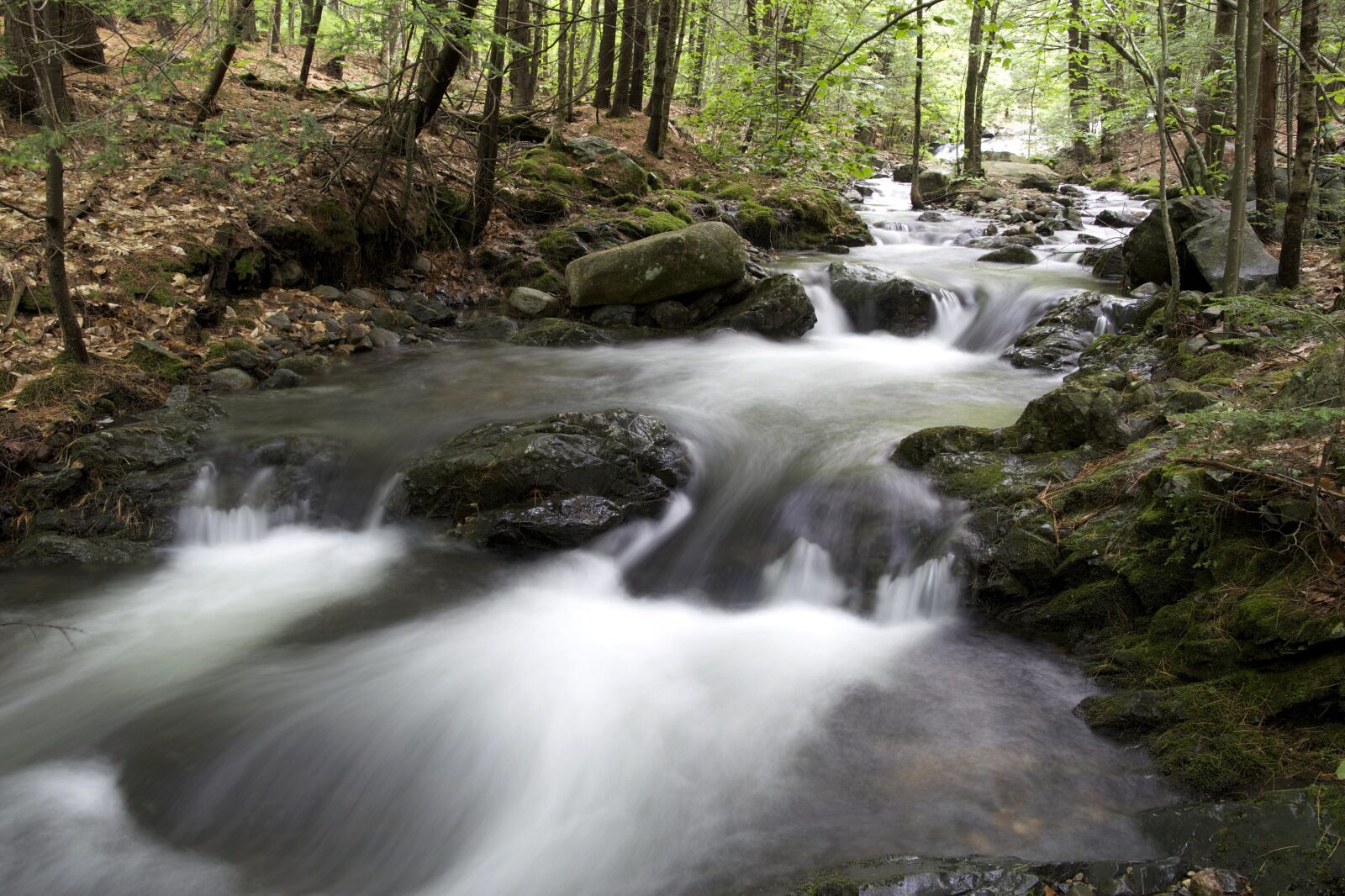 Canon EOS 6D sample photo. Creek, stream, river, forest photography