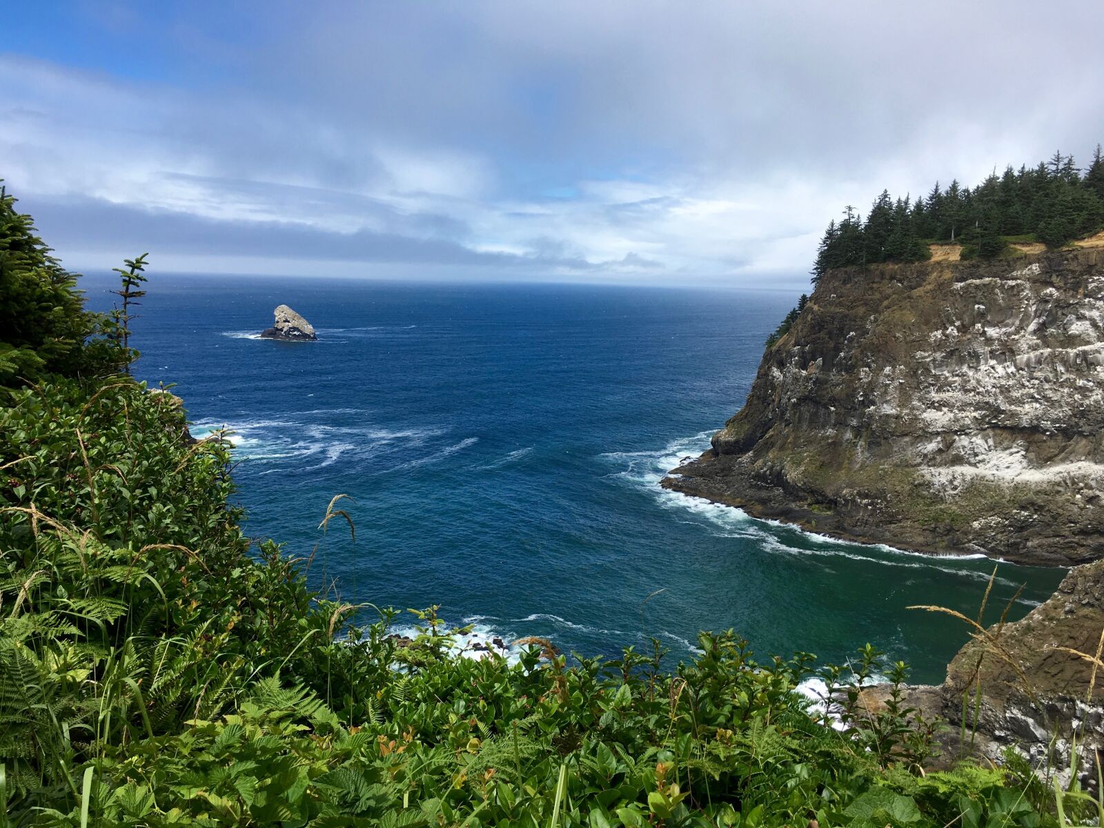 Apple iPhone SE sample photo. Oregon, ocean, cliff photography