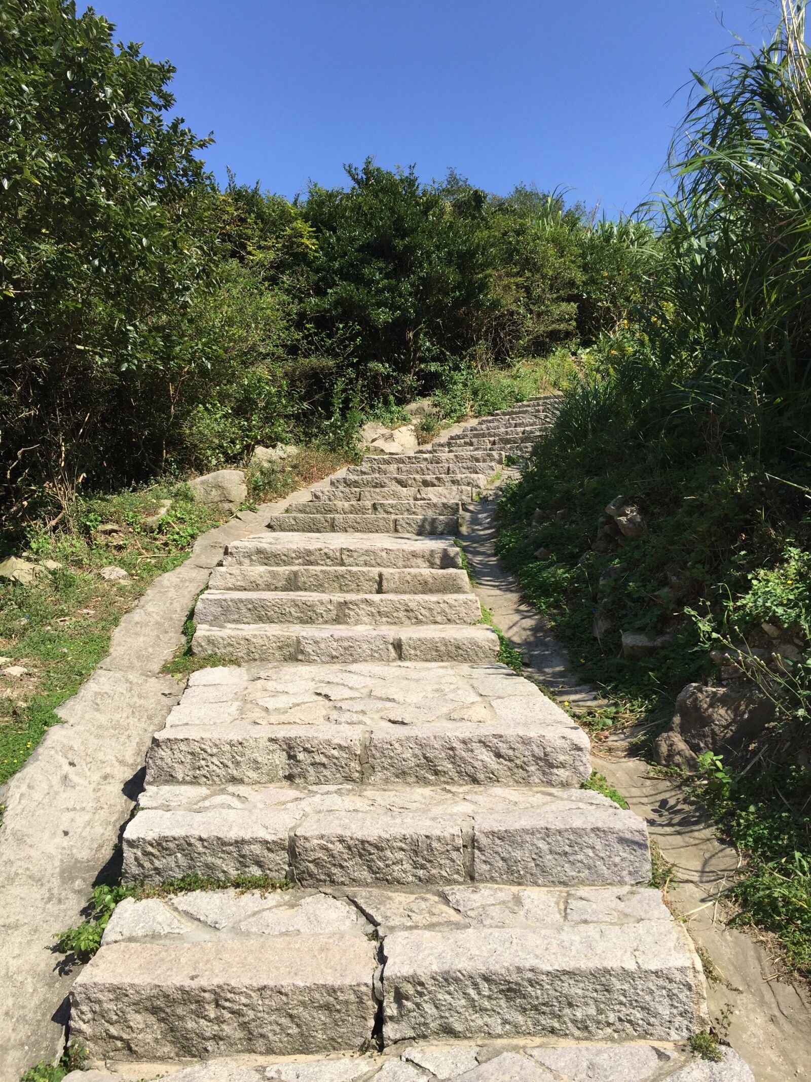 Apple iPhone 6 sample photo. Flagging, mountain, tree photography