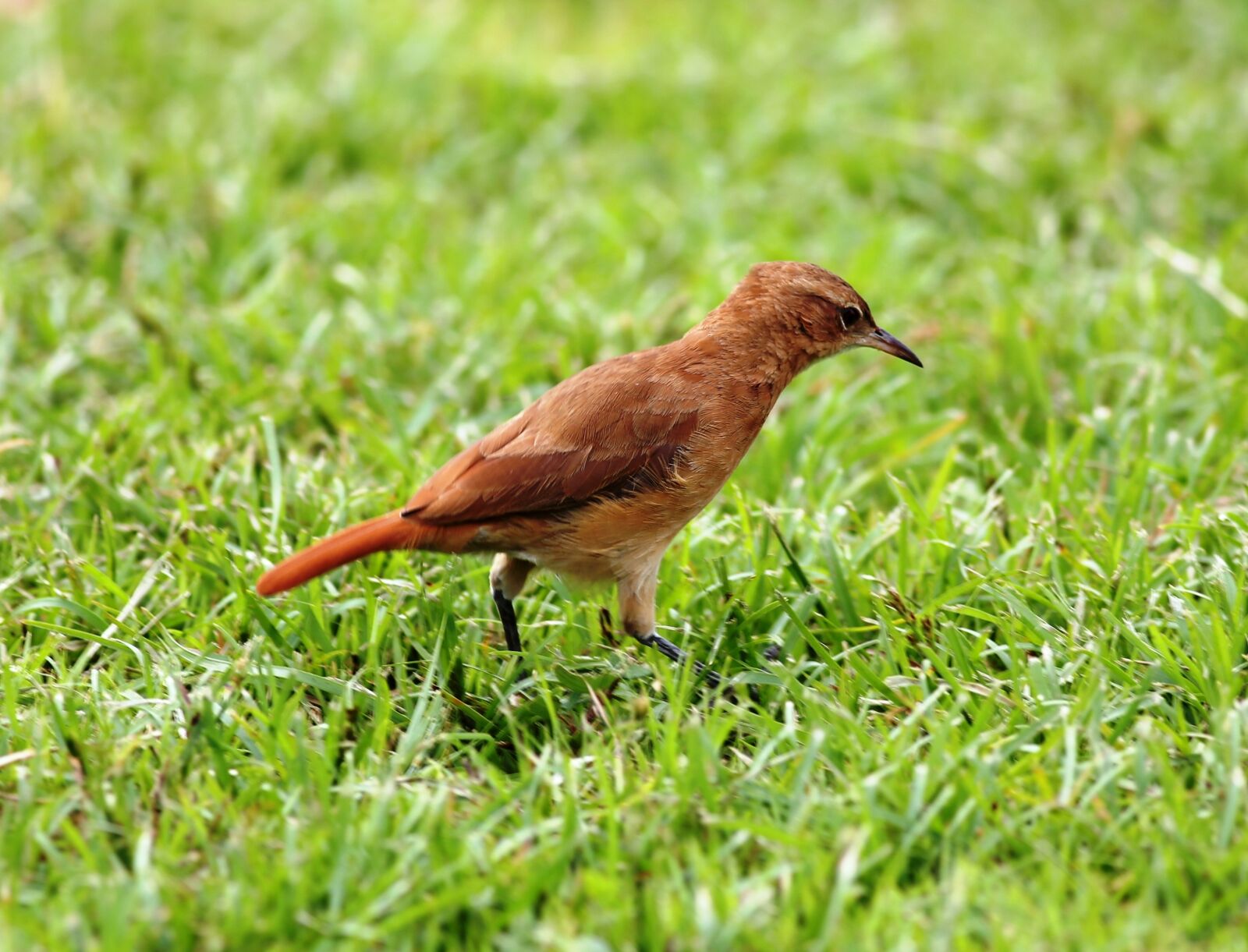 Canon EOS 5D Mark III sample photo. John clay, on the photography