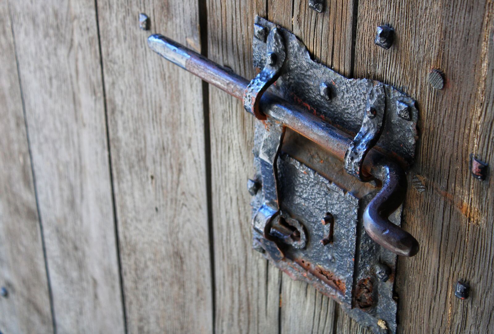 Canon EOS 2000D (EOS Rebel T7 / EOS Kiss X90 / EOS 1500D) sample photo. Door, rusty, entrance photography
