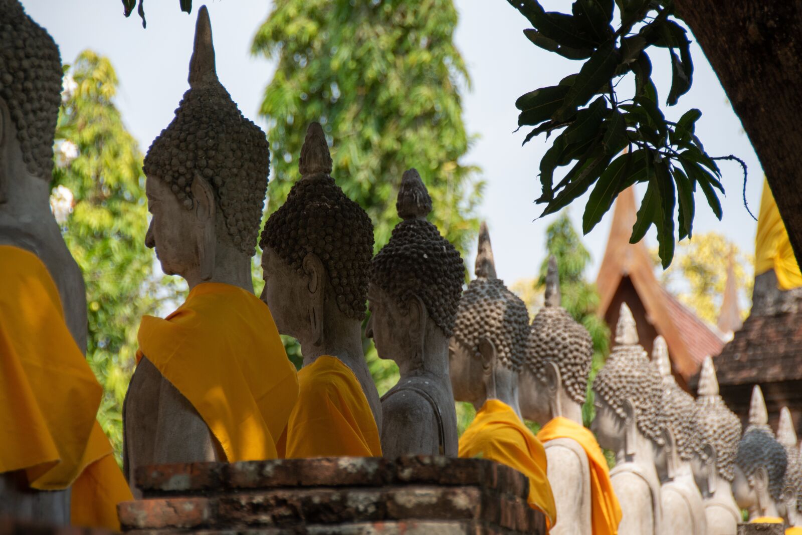 Nikon D5600 sample photo. Buddha, statue, meditation photography