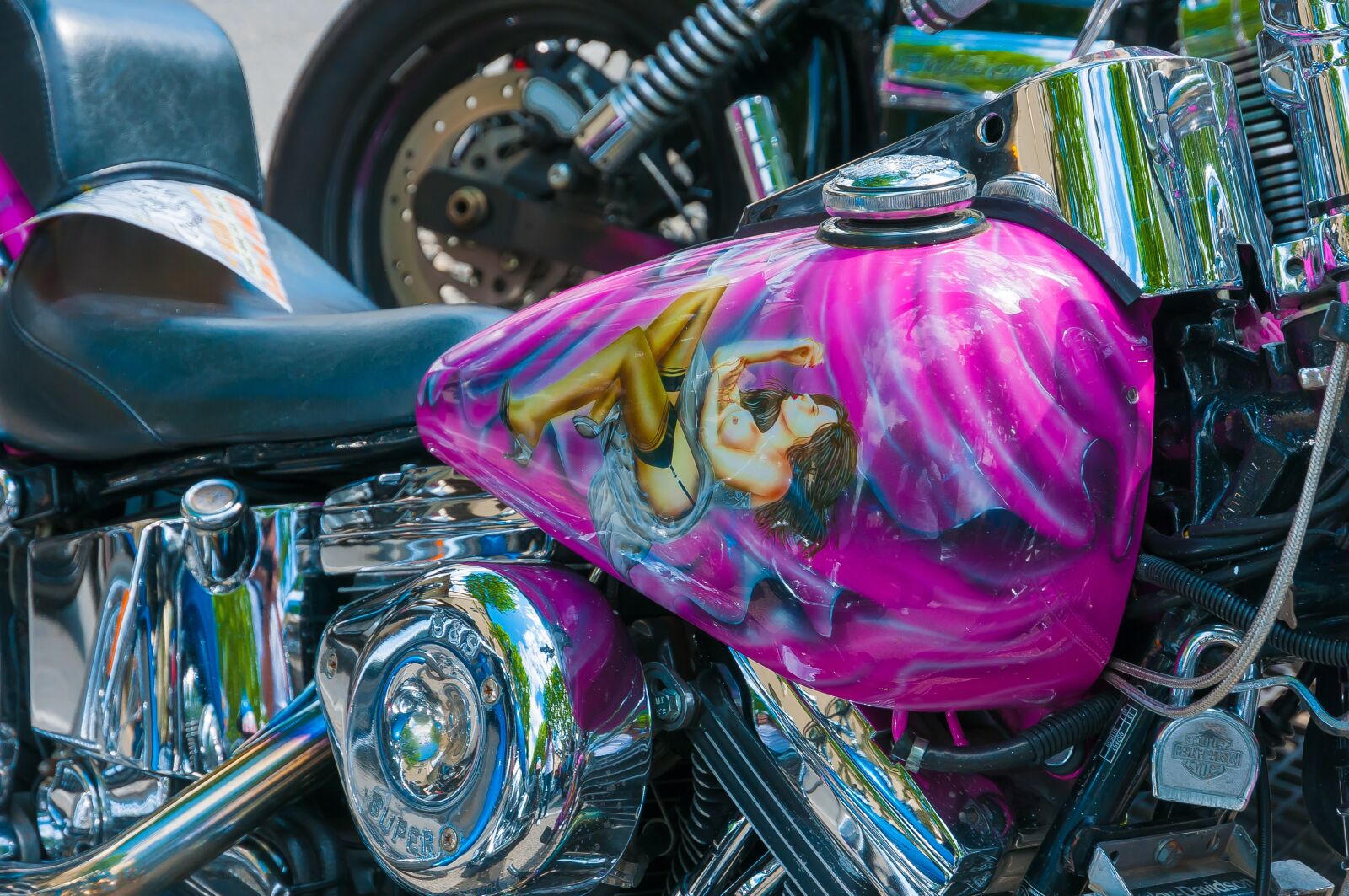 Nikon D300S sample photo. Harley, tank, painting photography