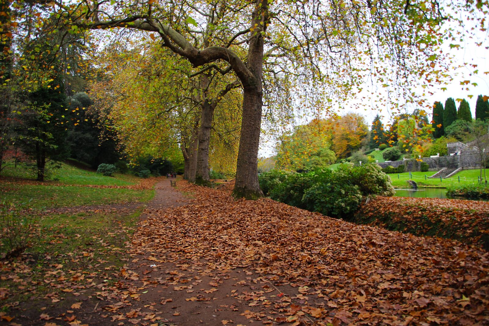 Canon EOS 700D (EOS Rebel T5i / EOS Kiss X7i) sample photo. Autumn, leaves, fall photography