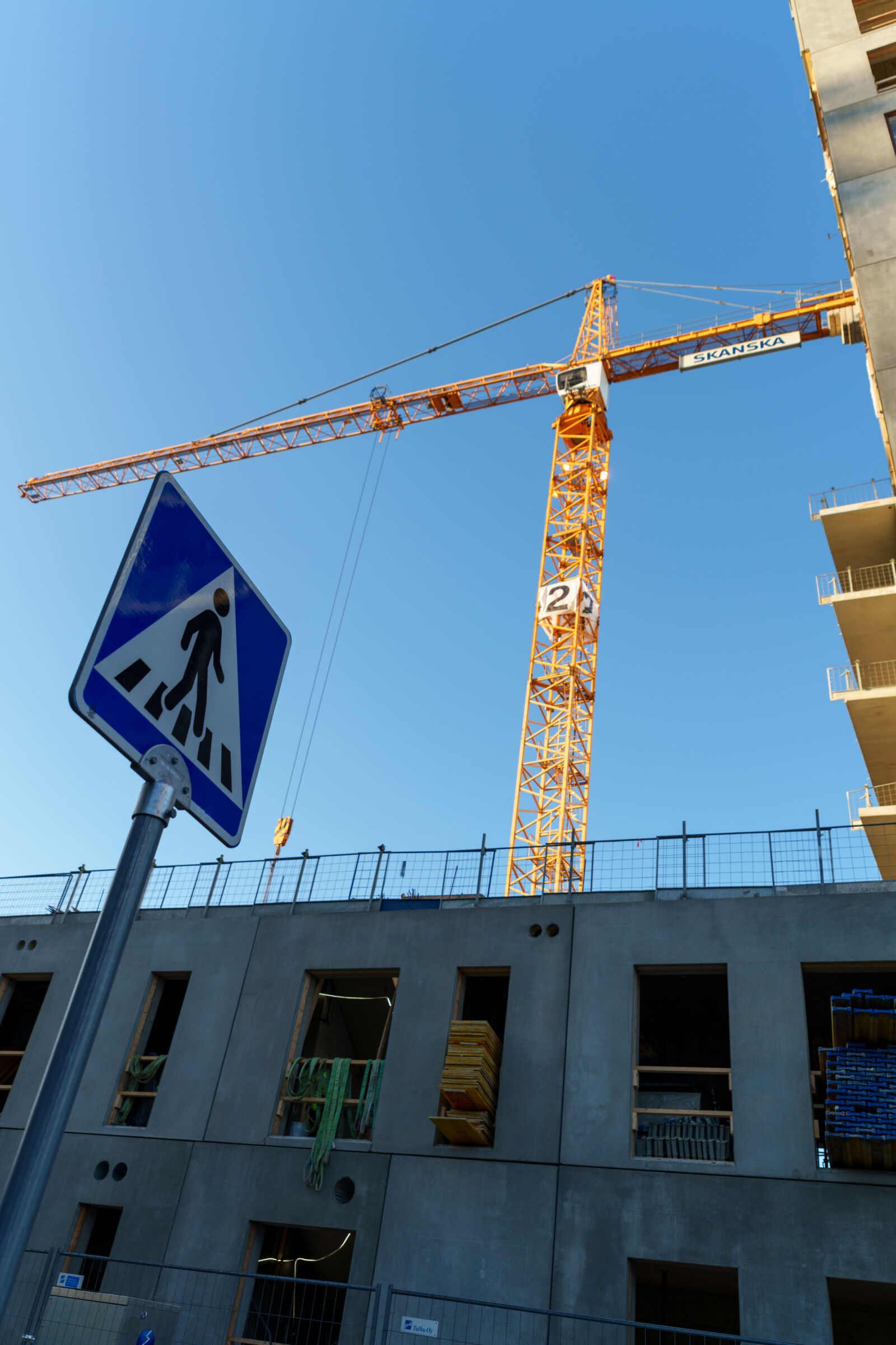 Sony a7R V sample photo. Crane morning photography