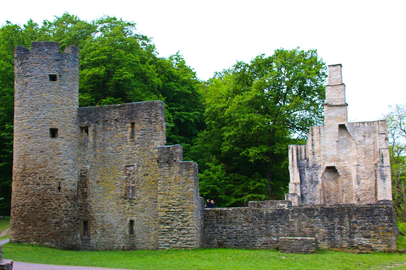 Canon EOS 700D (EOS Rebel T5i / EOS Kiss X7i) sample photo. Castle, forest, nature photography