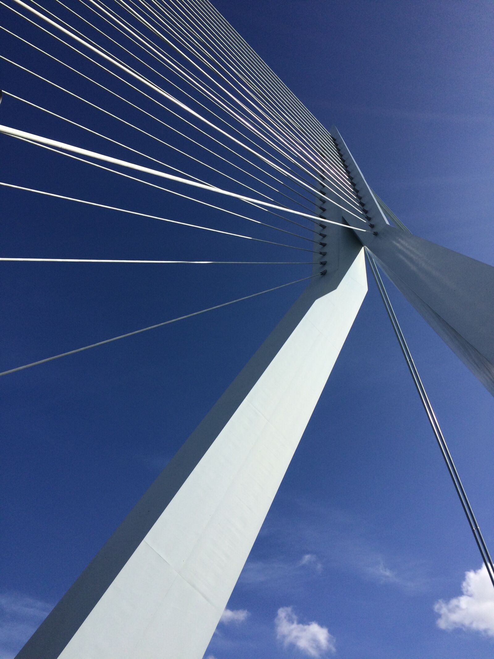 iPhone 5s back camera 4.15mm f/2.2 sample photo. Rotterdam, erasmus bridge, blue photography
