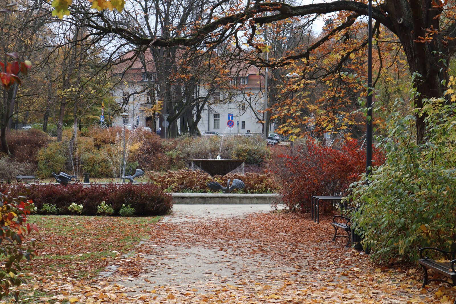 Canon EOS M50 (EOS Kiss M) sample photo. Park, autumn, foliage photography