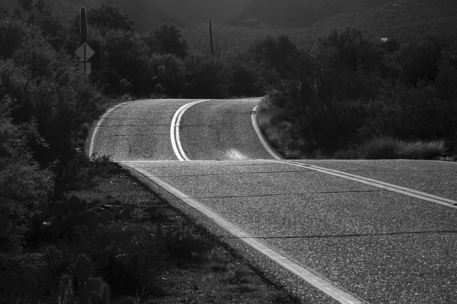 Nikon D3200 sample photo. Black and white, road photography
