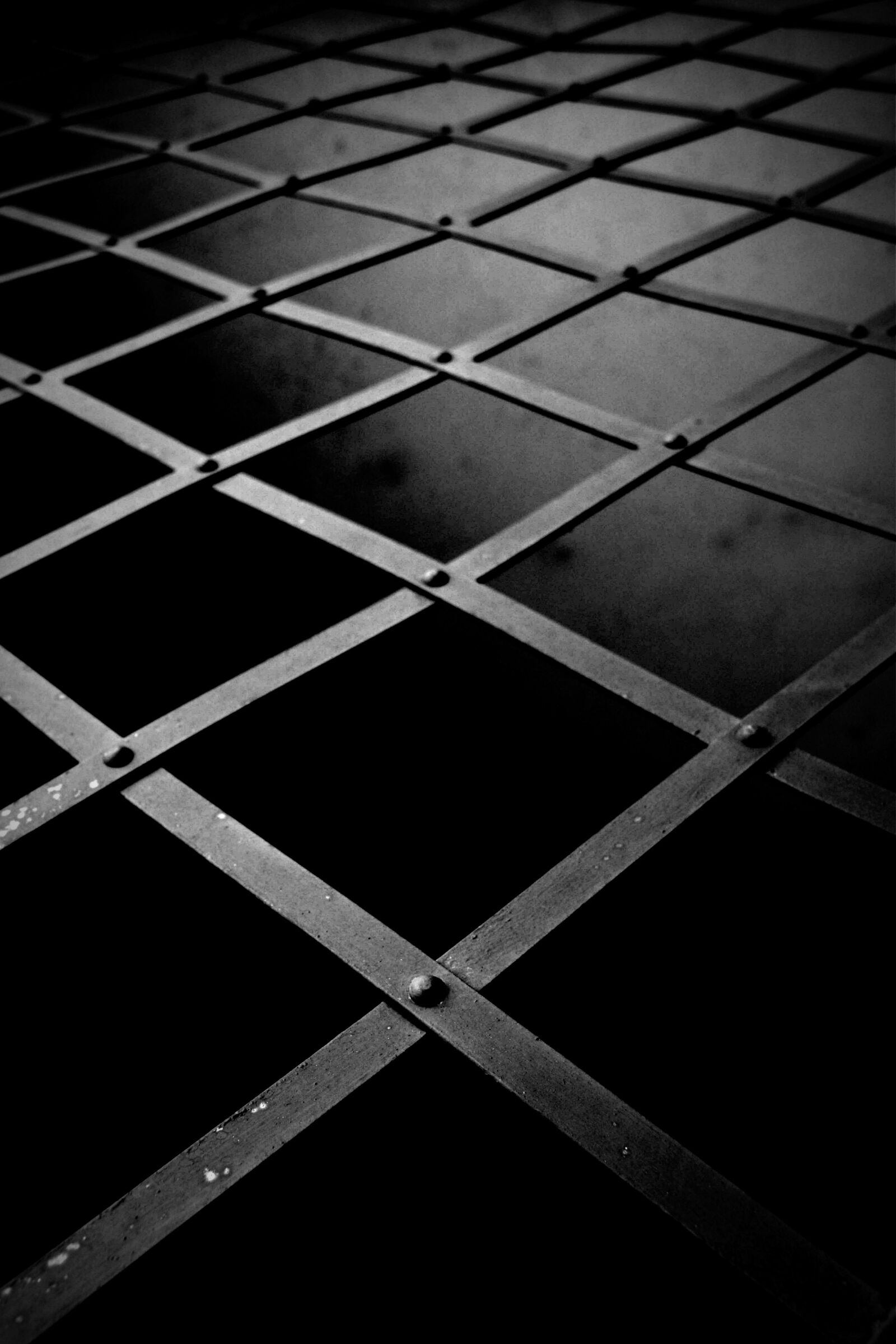 Nikon D5300 sample photo. Grid, shadow, light photography