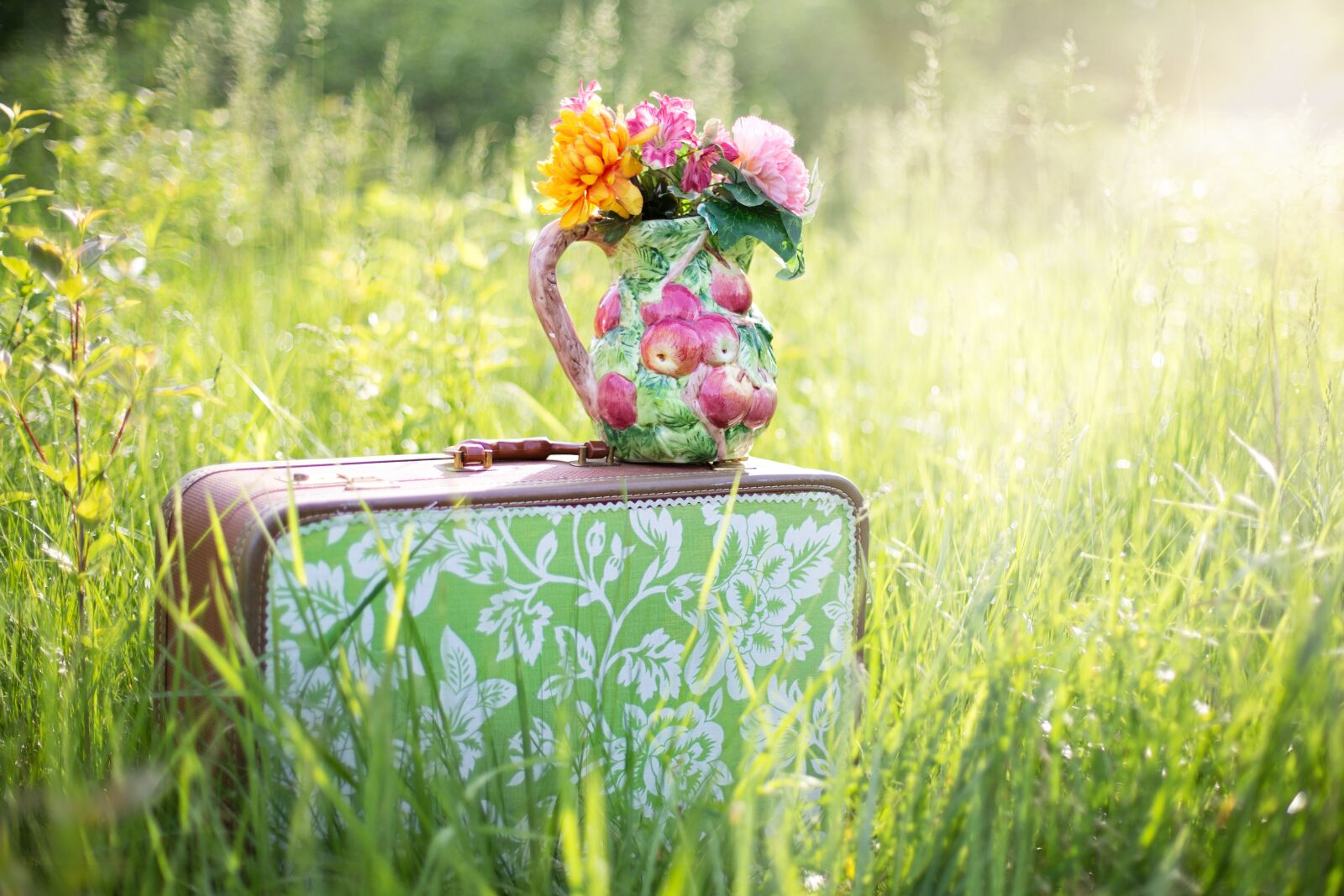 Canon EF 50mm F1.4 USM sample photo. Summer, countryside, grass, outdoor photography