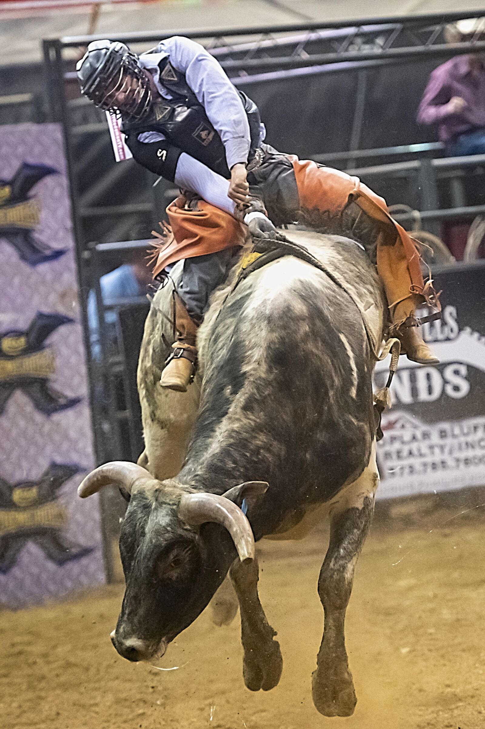 Nikon D850 sample photo. Bull, bull riding, rodeo photography