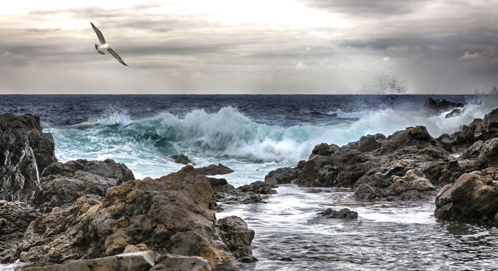 Canon EOS 5D Mark III sample photo. Sea, seagulls, sun photography
