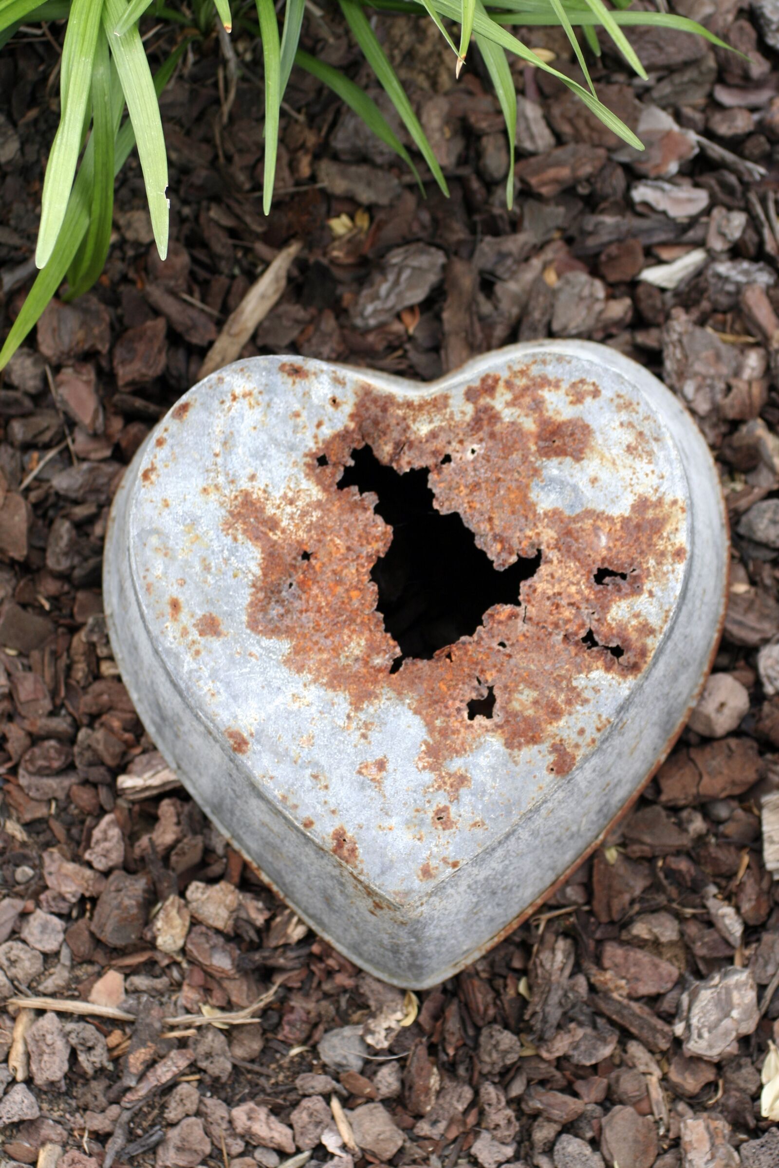Canon EOS 350D (EOS Digital Rebel XT / EOS Kiss Digital N) sample photo. Heart, metal, heart shaped photography