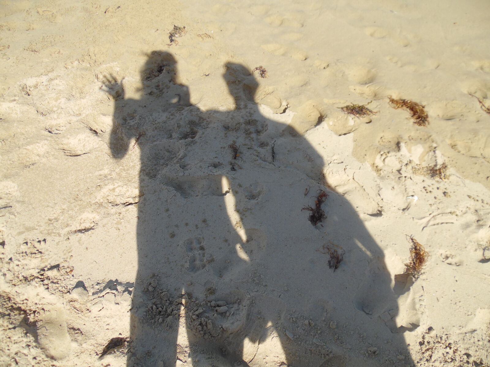 Samsung WB1100F/WB1101F/WB1102F sample photo. Australia, couple, love, shadow photography