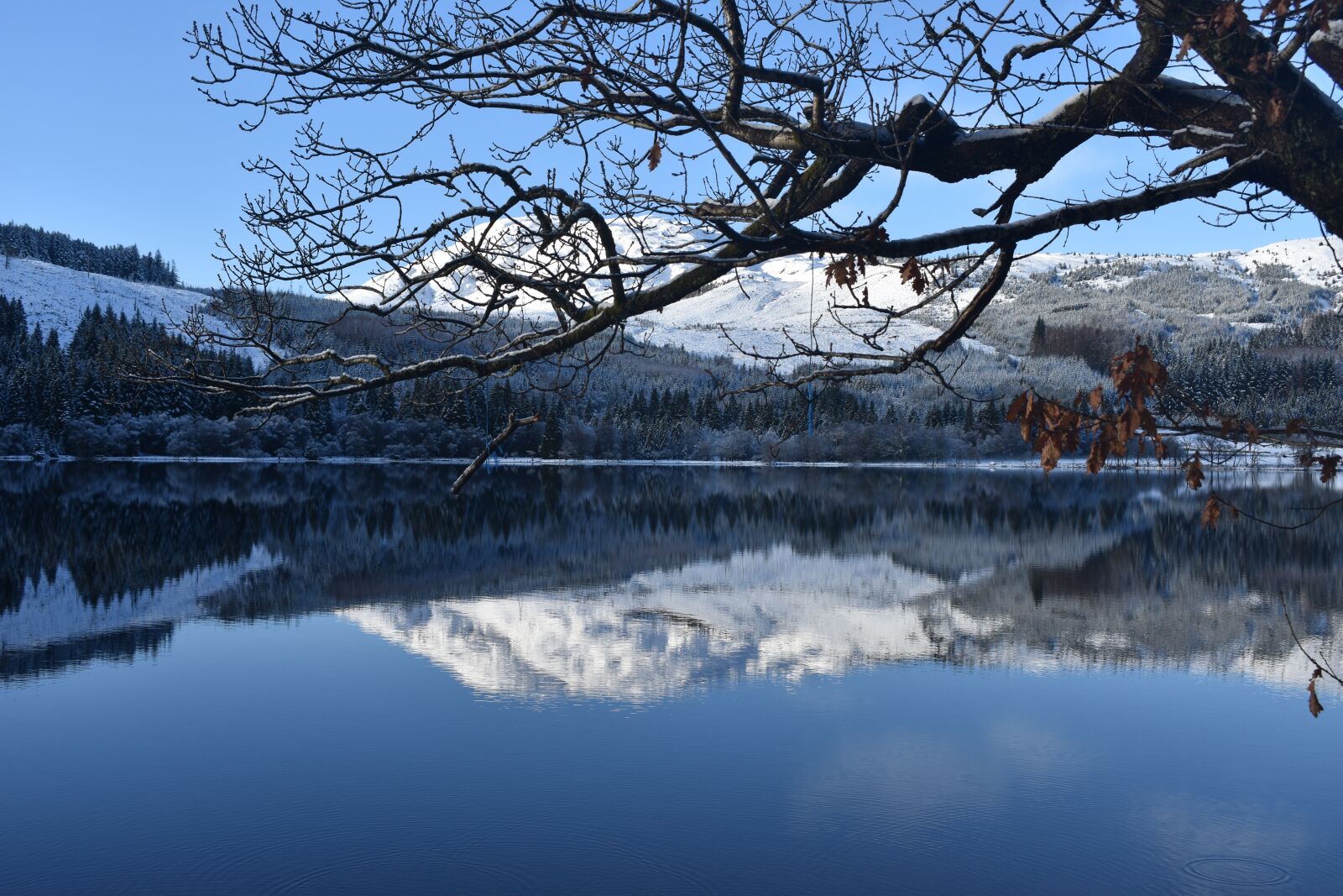 Nikon D3400 sample photo. Scotland, loch, snow photography