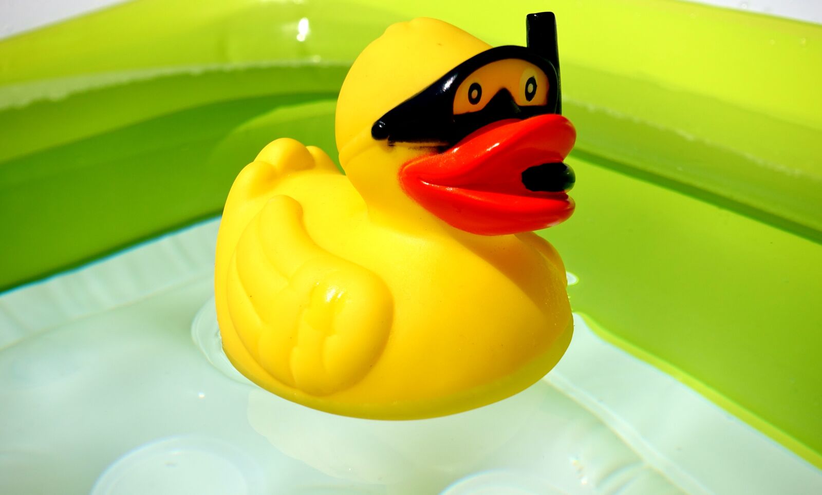 Sony DSC-RX100M5 sample photo. Rubber duck, divers, quietscheente photography