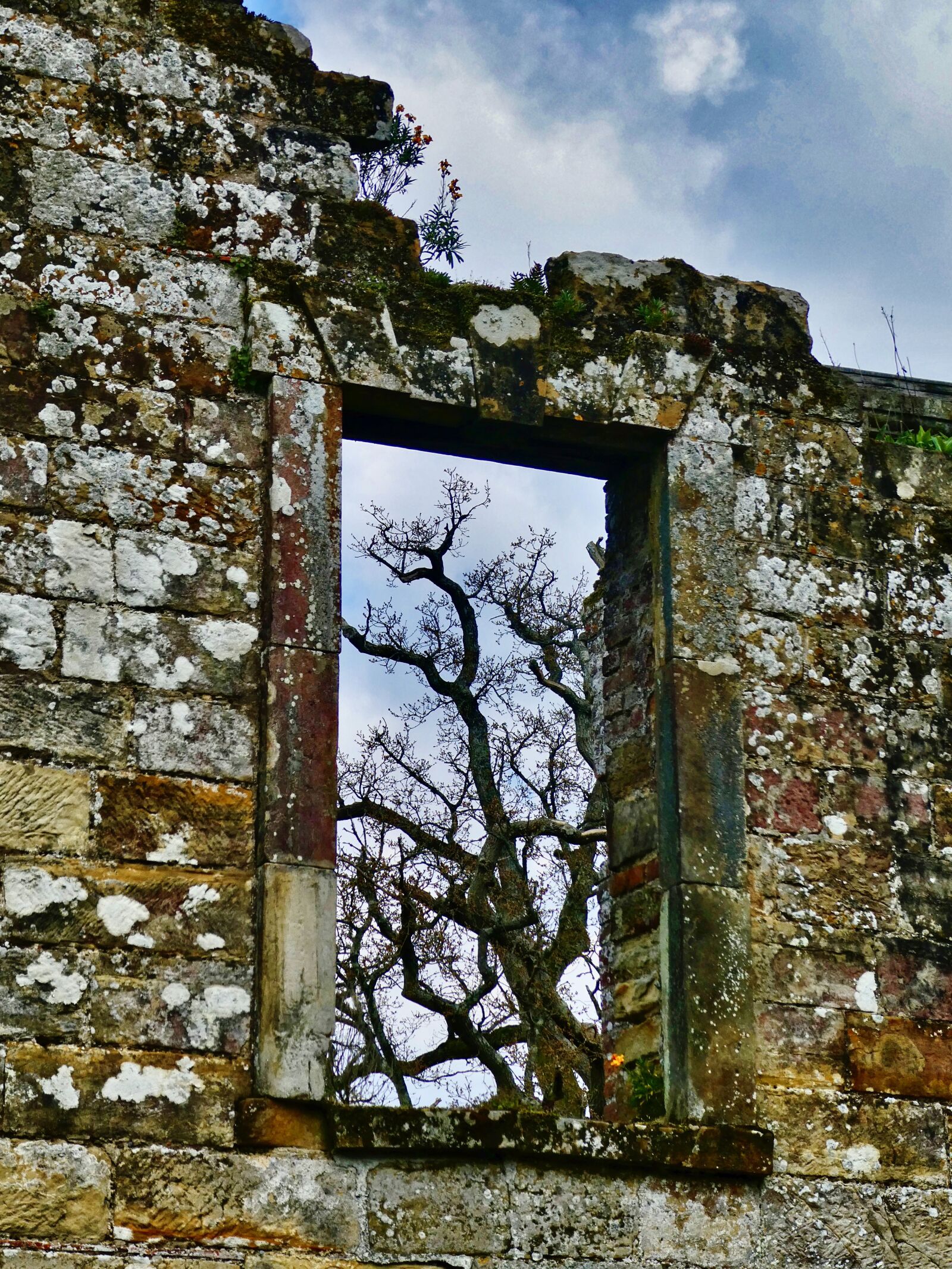 Panasonic Lumix DC-ZS70 (Lumix DC-TZ90) sample photo. Ruin, window, dilapidated photography