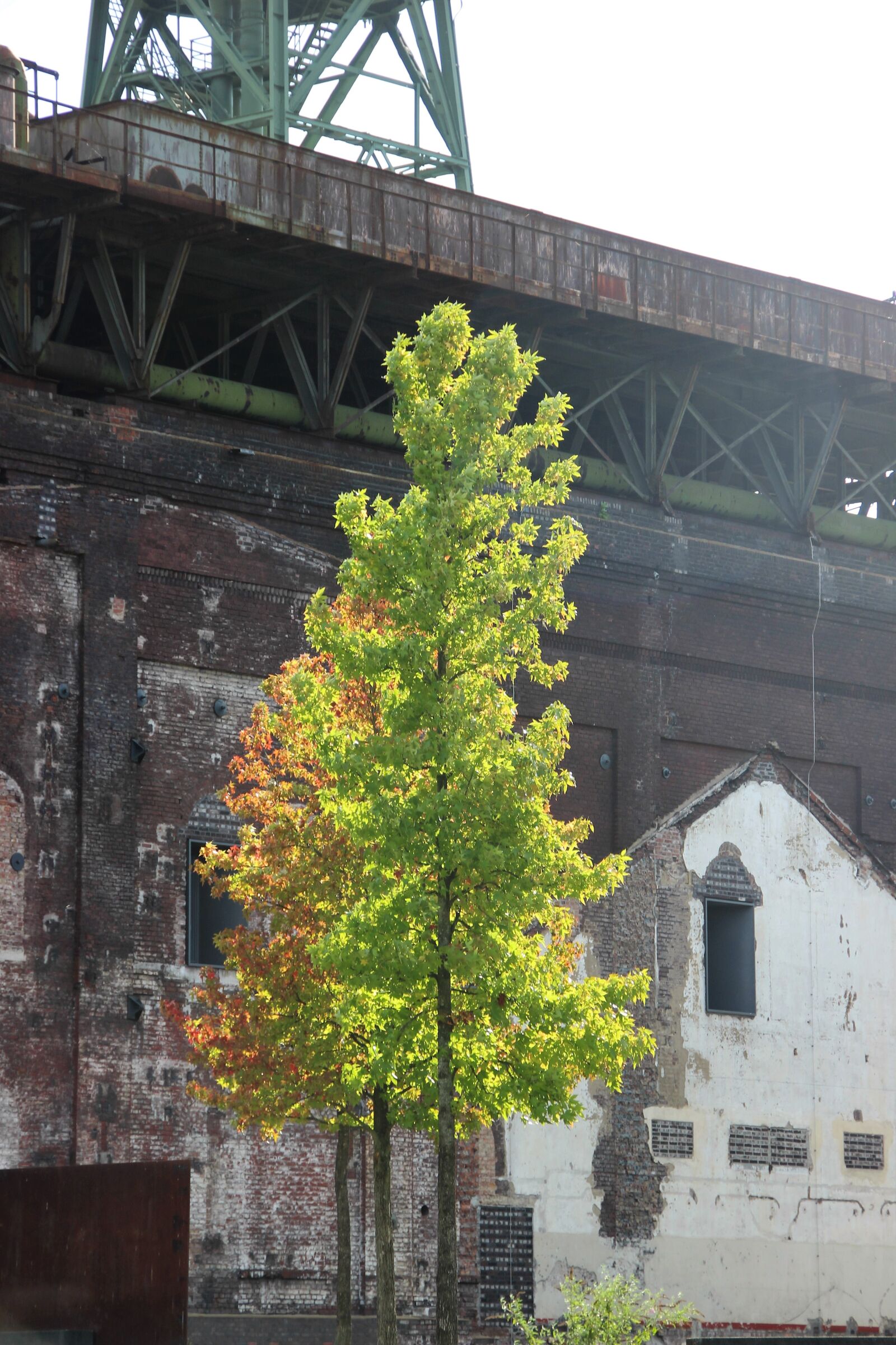Canon EOS 600D (Rebel EOS T3i / EOS Kiss X5) sample photo. Industrial heritage, building, architecture photography