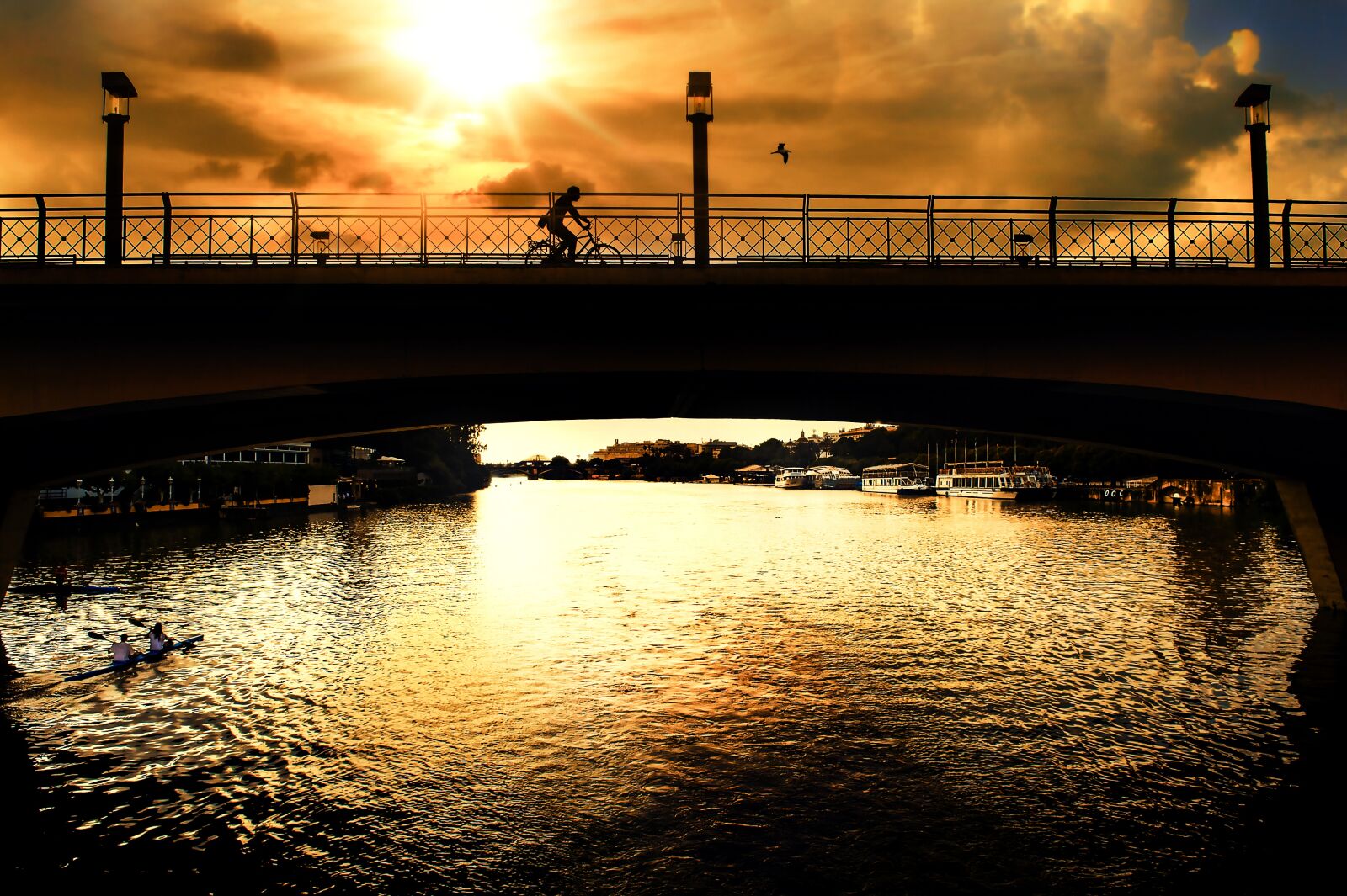 Nikon D3S sample photo. Silhouette, offer, landscape photography