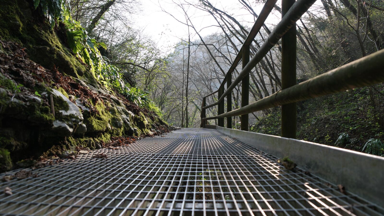 Samsung NX1 sample photo. Bridge, away, railing photography