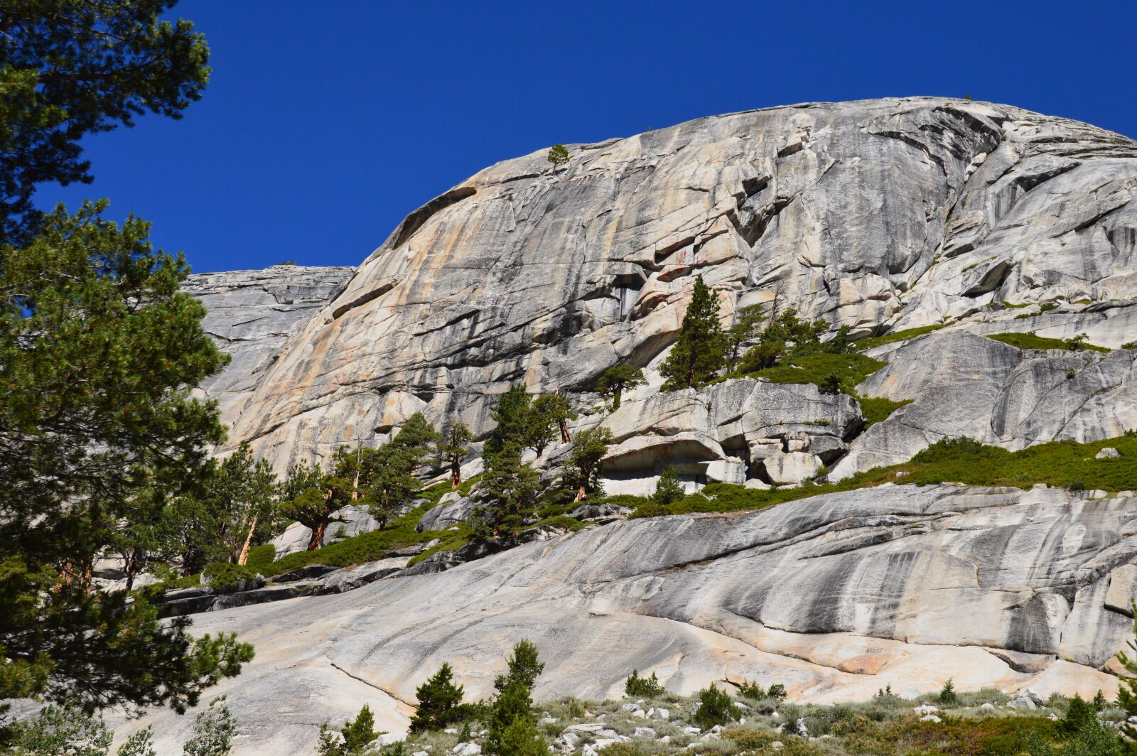 Nikon D3200 sample photo. Yosemite, yosemite national park photography