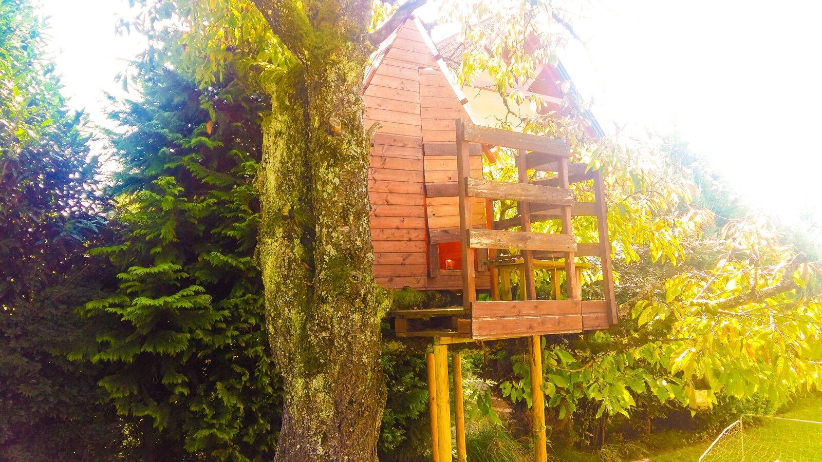 Samsung Galaxy A5 sample photo. Treehouse, autumn, tree photography
