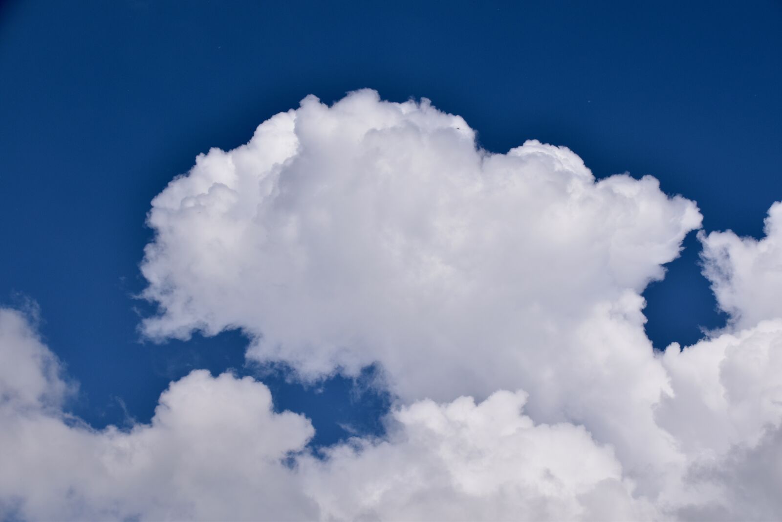 Nikon D5600 sample photo. Clouds, white clouds, big photography