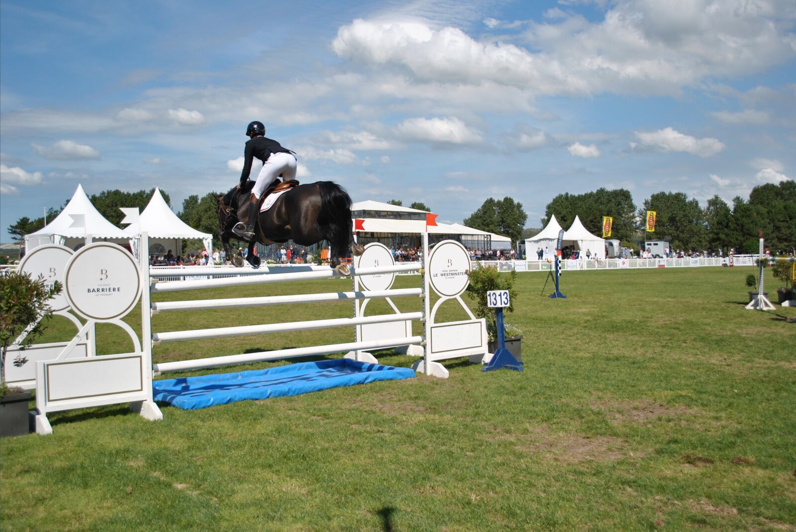 Nikon D3000 sample photo. Horses, riders, races photography