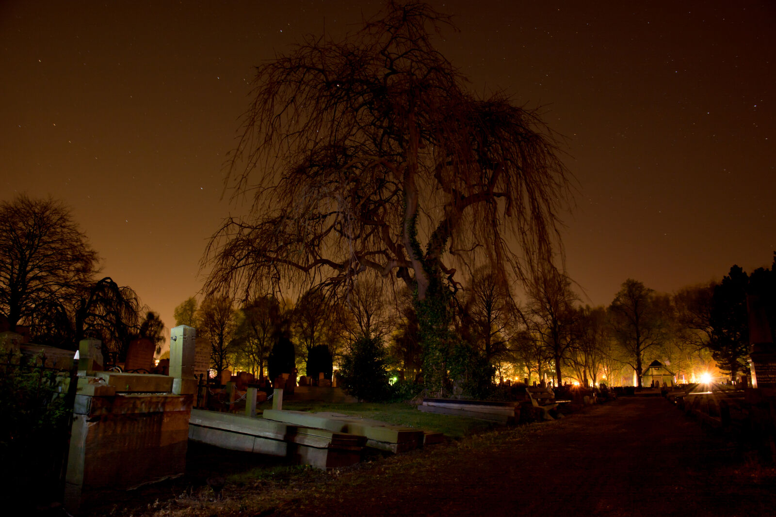 Nikon AF-S DX Nikkor 16-85mm F3.5-5.6G ED VR sample photo. Night, tree, spooky, sullen photography