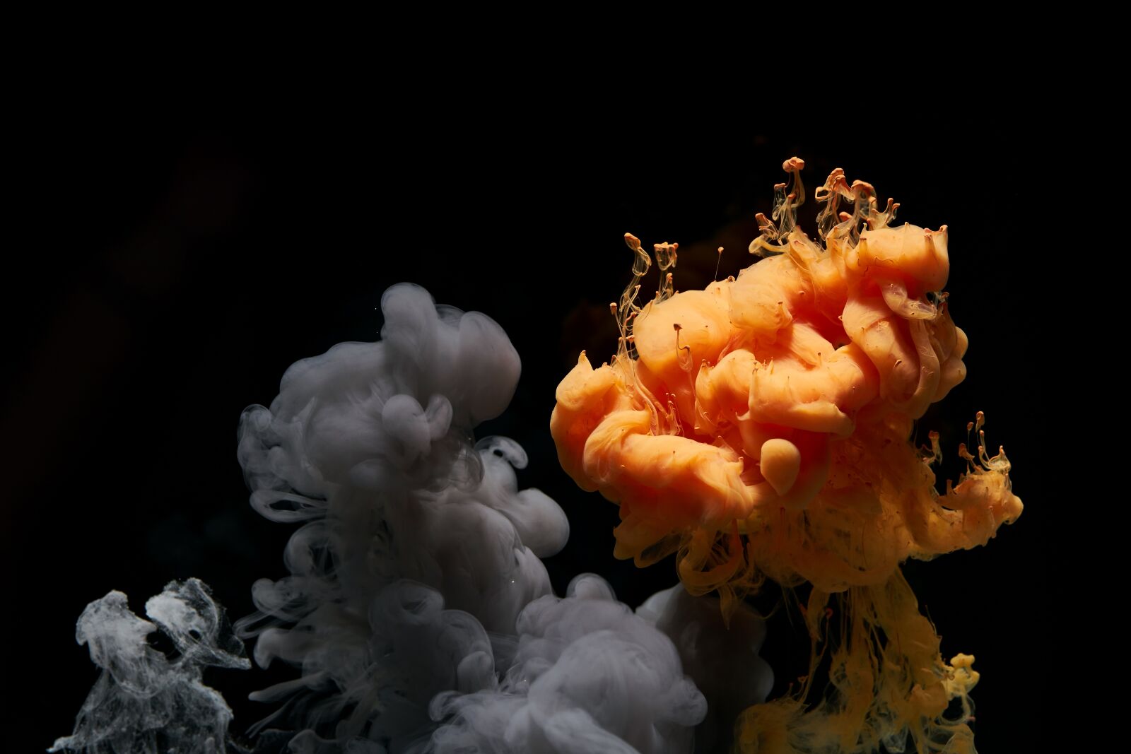 Sigma 85mm F1.4 DG HSM Art sample photo. Abstract, ink, water photography
