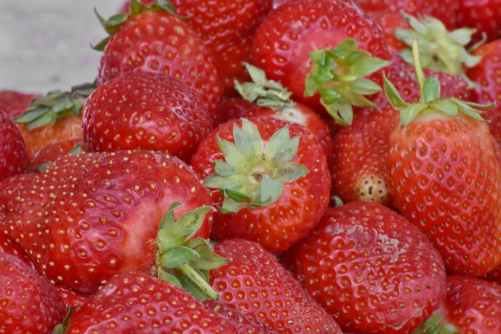 Nikon D5500 sample photo. Agriculture, strawberry, berry, delicious photography